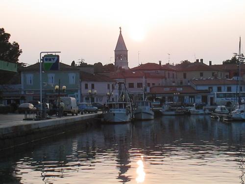 Novigrad