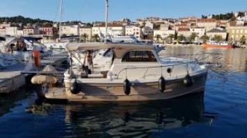 Yachtcharter leidi 800