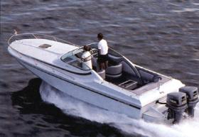 Yachtcharter Boston Whaler