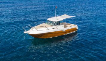 Yachtcharter Morgan 780 1cab top