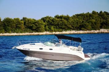 Yachtcharter Sea Ray 255 sundancer 2cab top