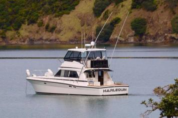 Yachtcharter Riviera 48 3cab back