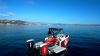 Yachtcharter iconcraft 24 back