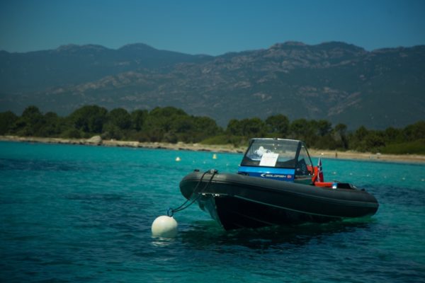 Yachtcharter Goldfish 29 outer