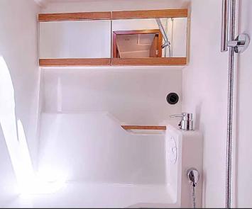 Yachtcharter Hanse455 6