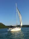 Bavaria 39 Cruiser Top Bild
