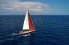 Dufour 56 Exclusive (3+1cab) Top Bild