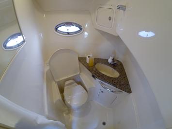 Yachtcharter SeaRay455Sundancer 18