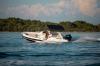 Clubman 22