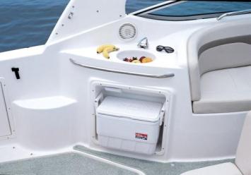 Yachtcharter Chaparral 280 Cockpit 2