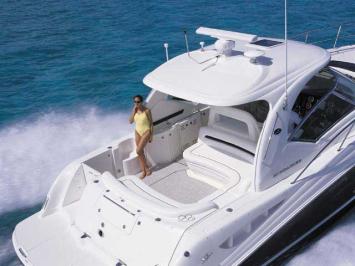 Yachtcharter Sea Ray 455 Heck