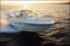 Yachtcharter Prestige 30 S Bugansicht 1 Cab 1 WC