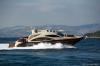 Predator 52