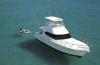 Yachtcharter Riviera 42 Fly Bug Deck