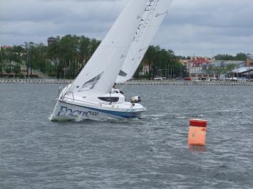 Yachtcharter focus 800 racer 1