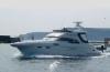Sealine F43