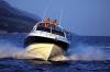 Yachtcharter Princess V42 /2Cab/1WC) Bug