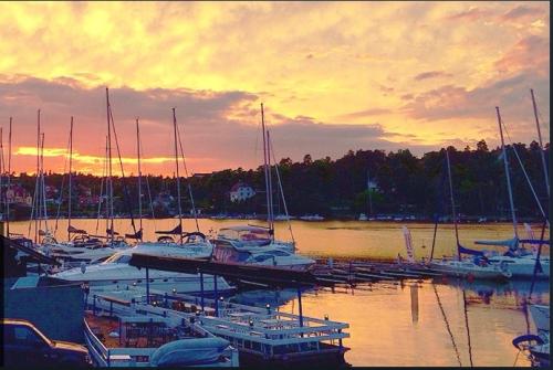 Morningside Marina in Port Stockholm