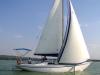 Balaton 31 (2 Kabinen, 1 Bad)