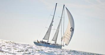 Yachtcharter opus 68 top