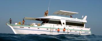 Yachtcharter horizon top