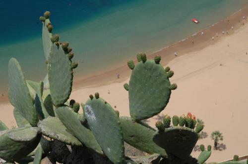 Kanaren Yachtcharter: Teneriffa - Playa de las Teresitas