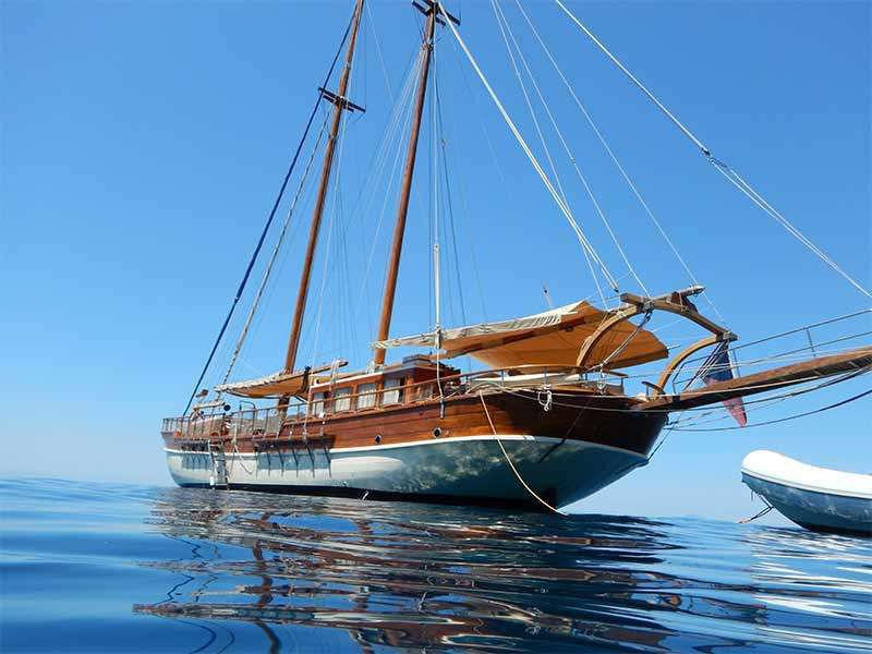 Kopie:Catch 25 Gulet Top image