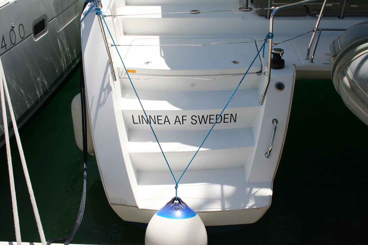 Lagoon 450 F  Top image