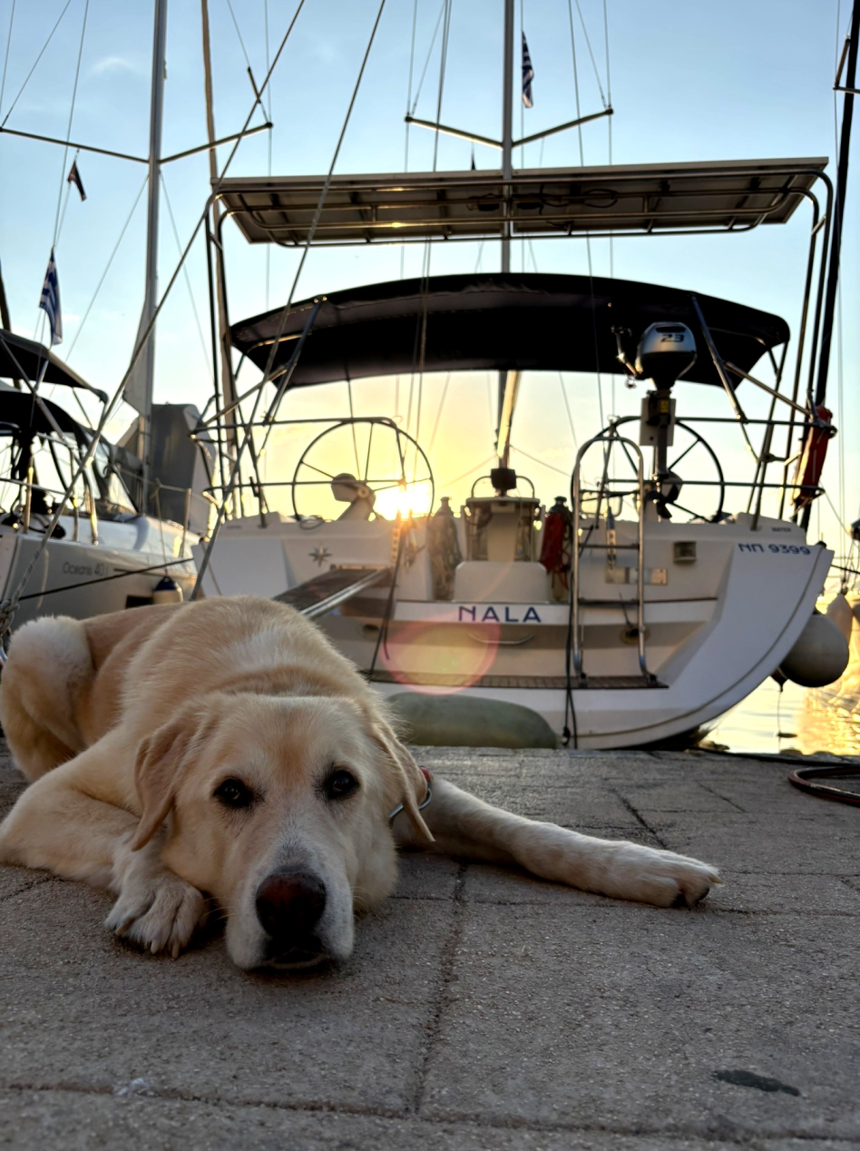 Sun Odyssey 45 (4 cab) „Nala“ als Charteryacht