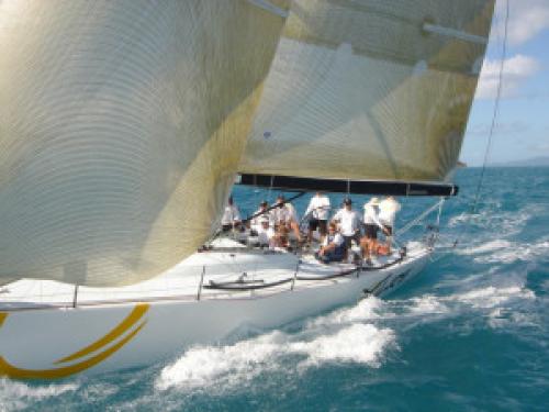 Great Barrier Reef Yachtcharter: Racing Division - Es sind durchaus ernstzunehmende Yachten dabei