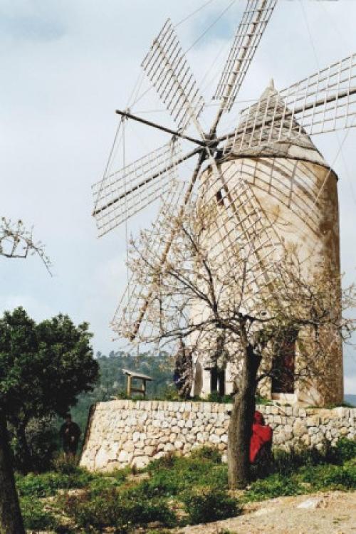 Mallorca Charter: Das Landesinnere ist überraschend ursprünglich