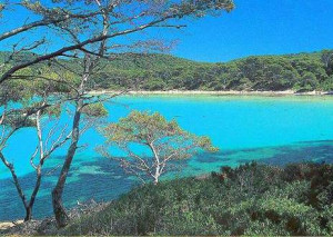 Südfrankreich Charter: Porquerolles - Türkises Wasser, weiße Strände und blassgrüne Pinienhaine