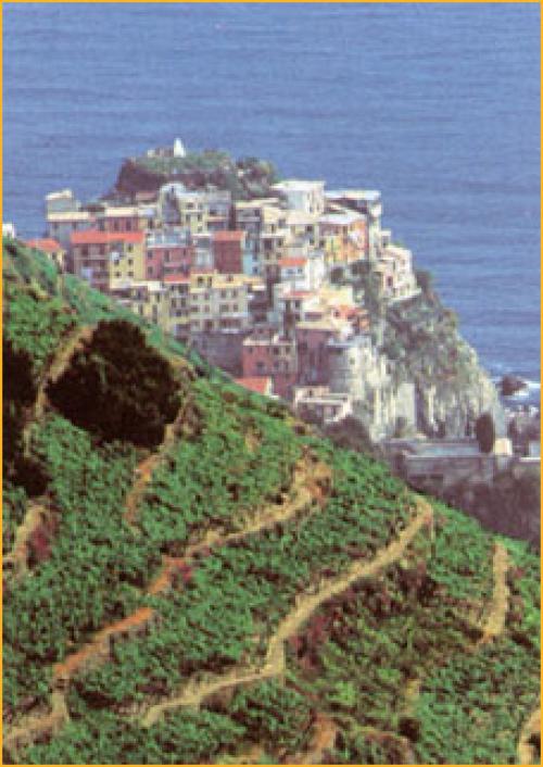 Ligurien Charter: Cinque Terre - Die fünf Dörfer mit den Hangterrassen sind weltberühmt