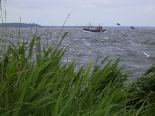 Ostsee Bootscharter: Ungemütlich - Herbststurm mit kalten Ost- und Nord-Ost-Winden