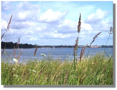 Ostsee Yachtcharter: Flensburger Förde - Friedliches Segelrevier mit besonderem Flair