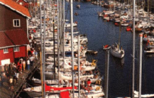 Schweden Charter: Die Yachten verschmelzen am Abend zu einer einzigen großen Party-Plattform