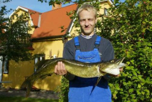 Schweden Yachtcharter: Angeln ist vielerorts erlaubt, und das Ergebnis kann sich sehen lassen