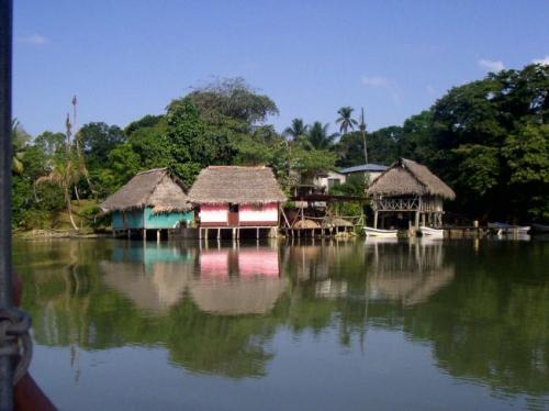 Belize Yachtcharter: Eine Flussfahrt auf dem Rio Dulce mitten durch den Dschungel