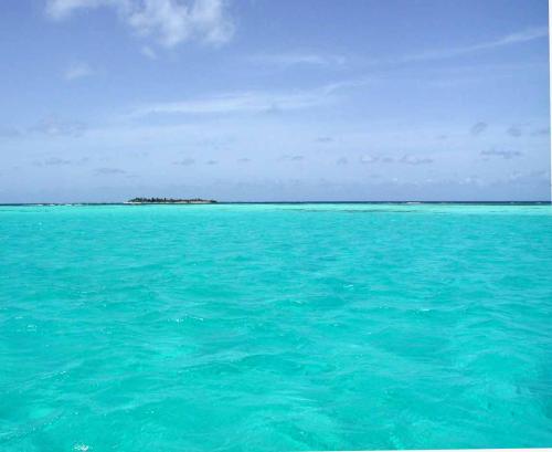 Kleine Antillen Charter: Tobago Cays - Die Farbe des Meeres wird immer unglaublicher
