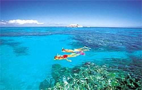 Great Barrier Reef Yachtcharter: Schnorcheln - Viele Inseln der Whitsundays sind von Riffen umgeben