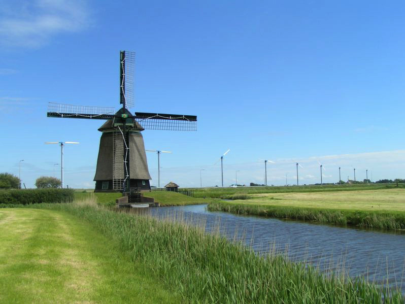 IJsselmeer Charter: Rechts und links neben den Kanälen sind Blumenwiesen