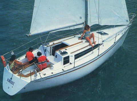 Gib Sea 92 Top image